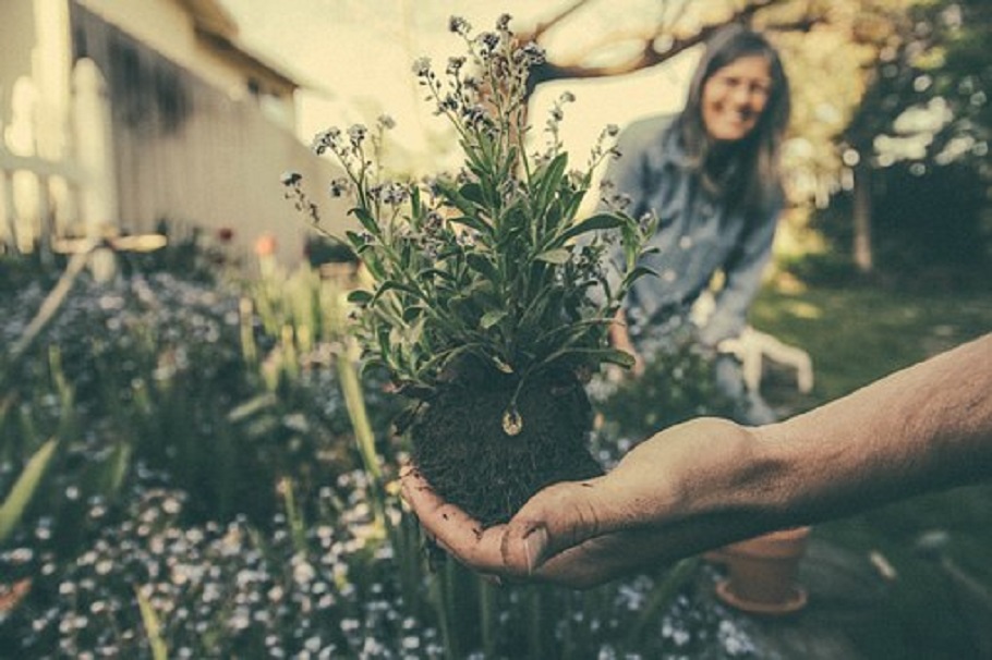 entretien jardin